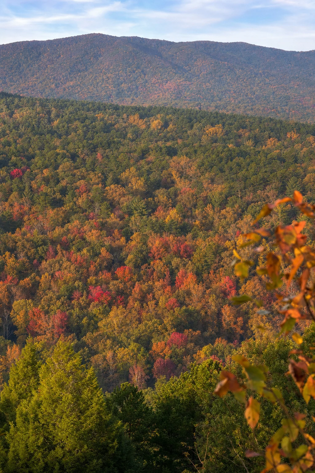 Chattahoochee National Forest