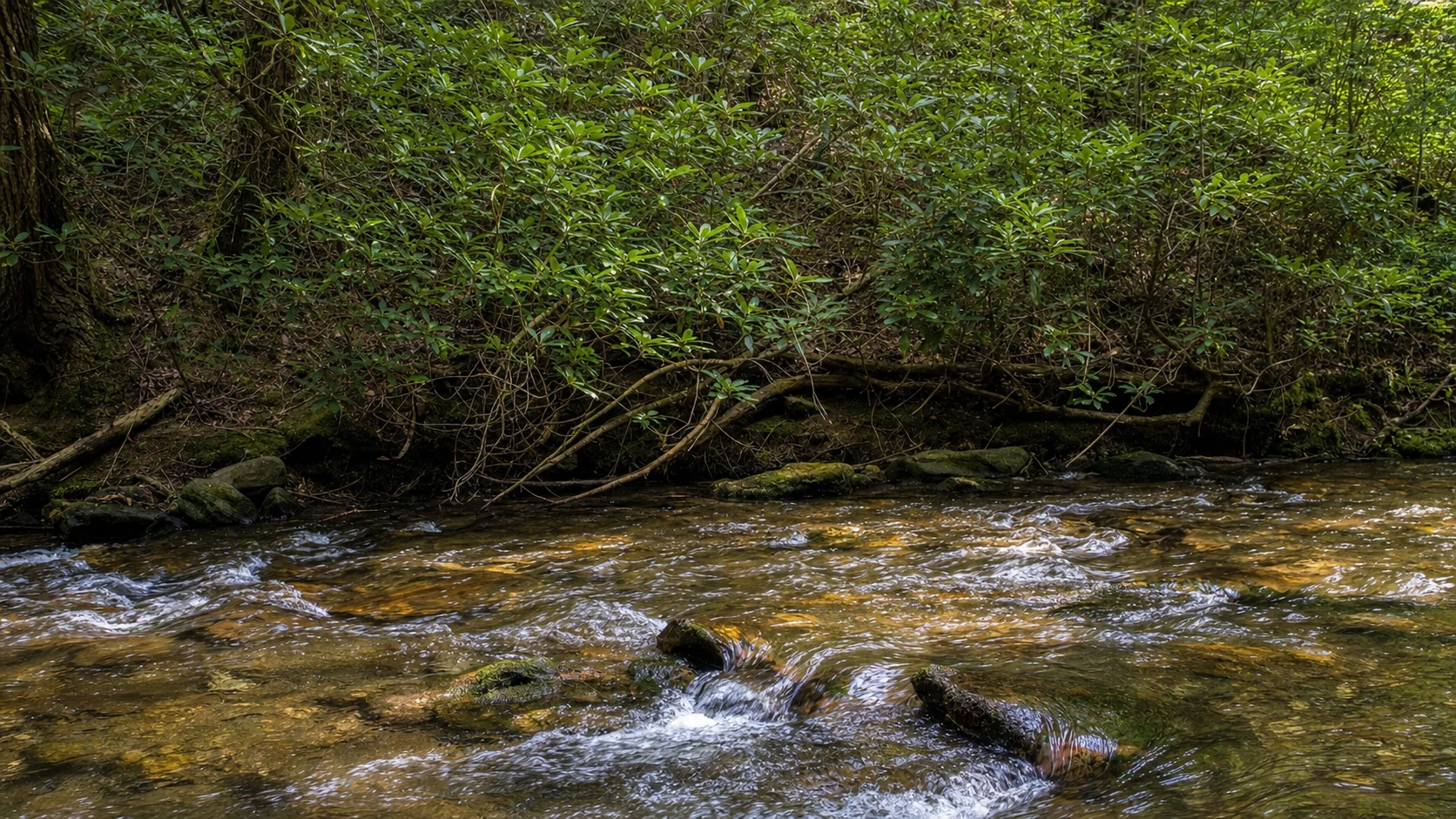 Dukes Creek