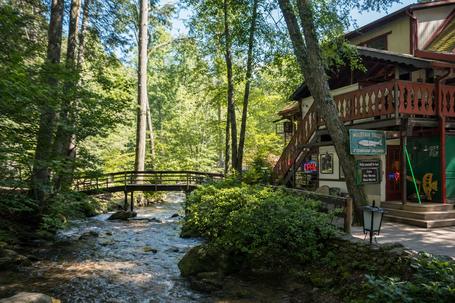 Mountain Trout Stream