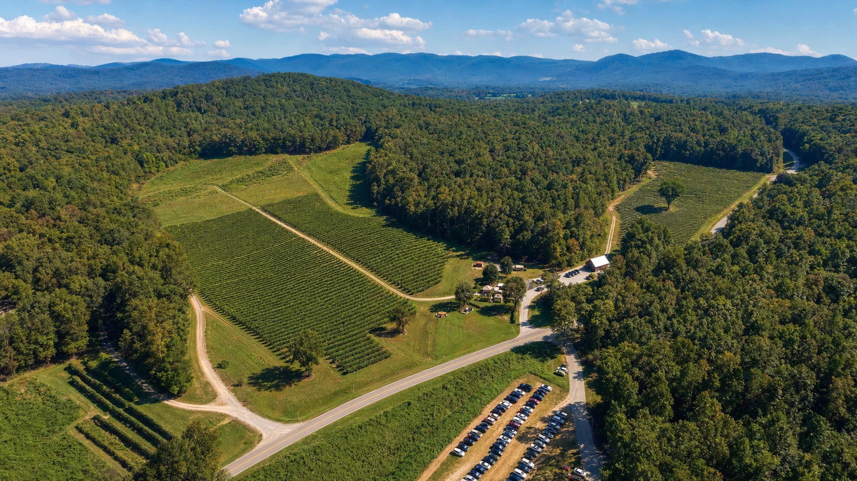 Georgia Wine Regions