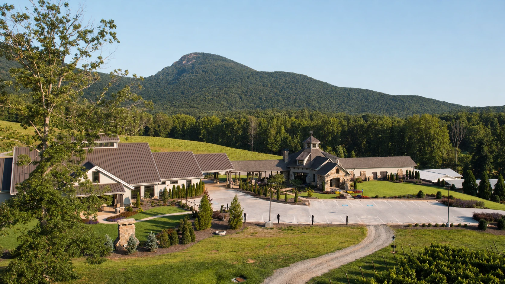 Yonah Mountain Vineyards Tasting Room